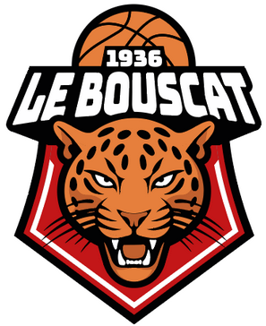 www.lebouscatbasket.net